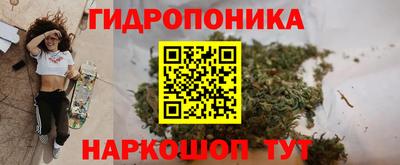 мяу мяу кристалл Тара