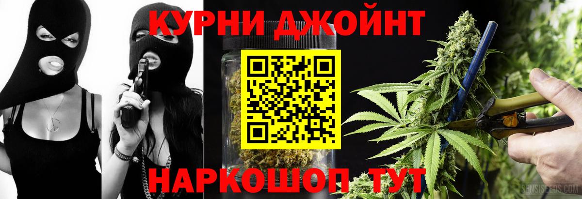 Каннабис план  Конопля Bruce Banner  Назрань  Вход с VPN  Марихуана White Widow 